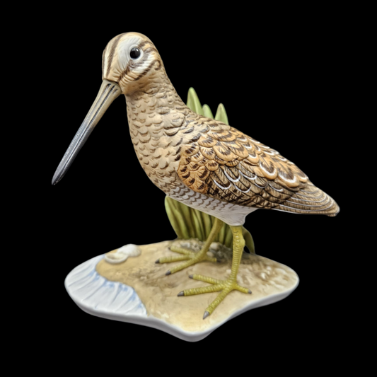 Goebel: Bekassine Vogel des Jahres 2013 (8841739370820)