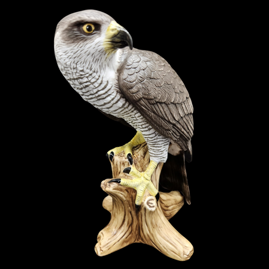 Goebel: Habicht Vogel des Jahres 2015 (8841752314180)