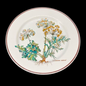 Villeroy & Boch Botanica: Brotteller / kleiner Teller - gebraucht (7121062166665)