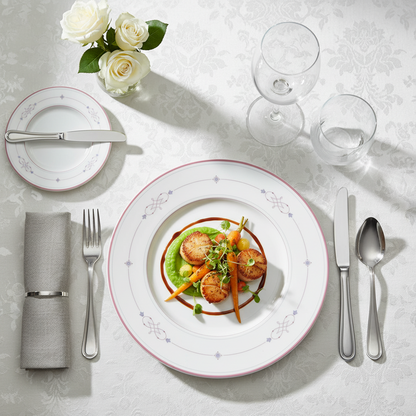 Villeroy & Boch Aragon: Speiseteller / flacher Teller - neu und unbenutzt