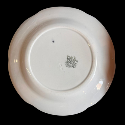 Villeroy & Boch Milla: Speiseteller / flacher Teller - Set - siehe Beschreibung - Set 1 (15240342176068)