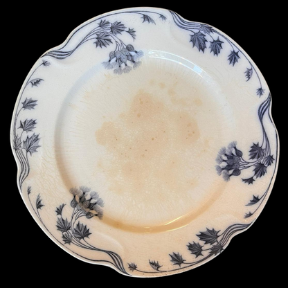 Villeroy & Boch Milla: Speiseteller / flacher Teller - 6 Stück - siehe Beschreibung - Set 2 (15251182321988)