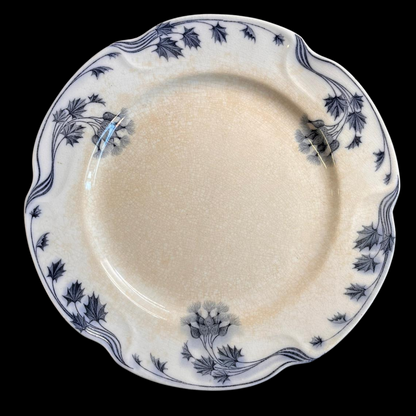 Villeroy & Boch Milla: Speiseteller / flacher Teller - 6 Stück - siehe Beschreibung - Set 3 (15251222593860)