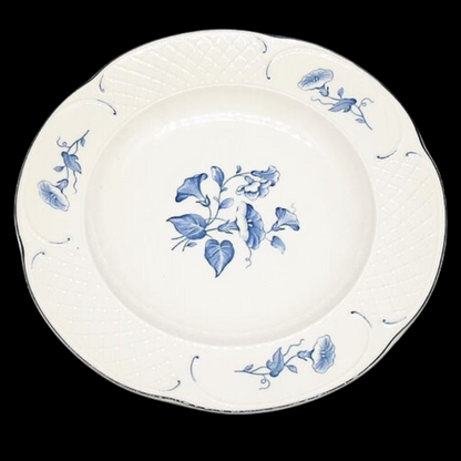 Villeroy & Boch Val Bleu: Suppenteller / tiefer Teller (7120879517833)