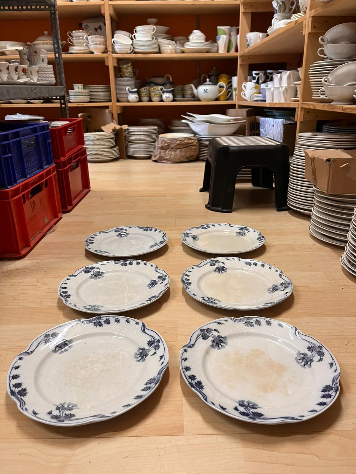 Villeroy & Boch Milla: Speiseteller / flacher Teller - 6 Stück - siehe Beschreibung - Set 2 (15251182321988)