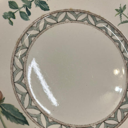 Villeroy & Boch Switch Coffee-House London: Speiseteller / flacher Teller - siehe Beschreibung