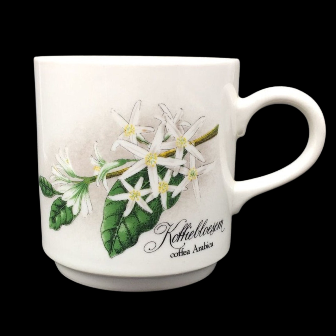 Villeroy & Boch Luxemburg: Kaffeebecher koffiebloesem coffea arabica (7120952754313)