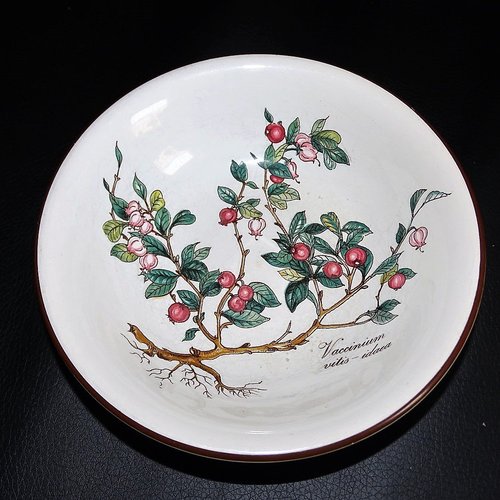 Villeroy & Boch Botanica: Dessertschale / Dessertschälchen - ca 14 cm - gebraucht (8508259533124)