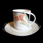 Villeroy & Boch Iris: Kaffeetasse / Tasse mit Unterteller - neuwertig (7120862019721)
