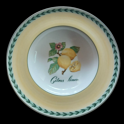 Villeroy & Boch French Garden: Pastateller / tiefer Teller Fleurence Citrus limon (8668340814148)