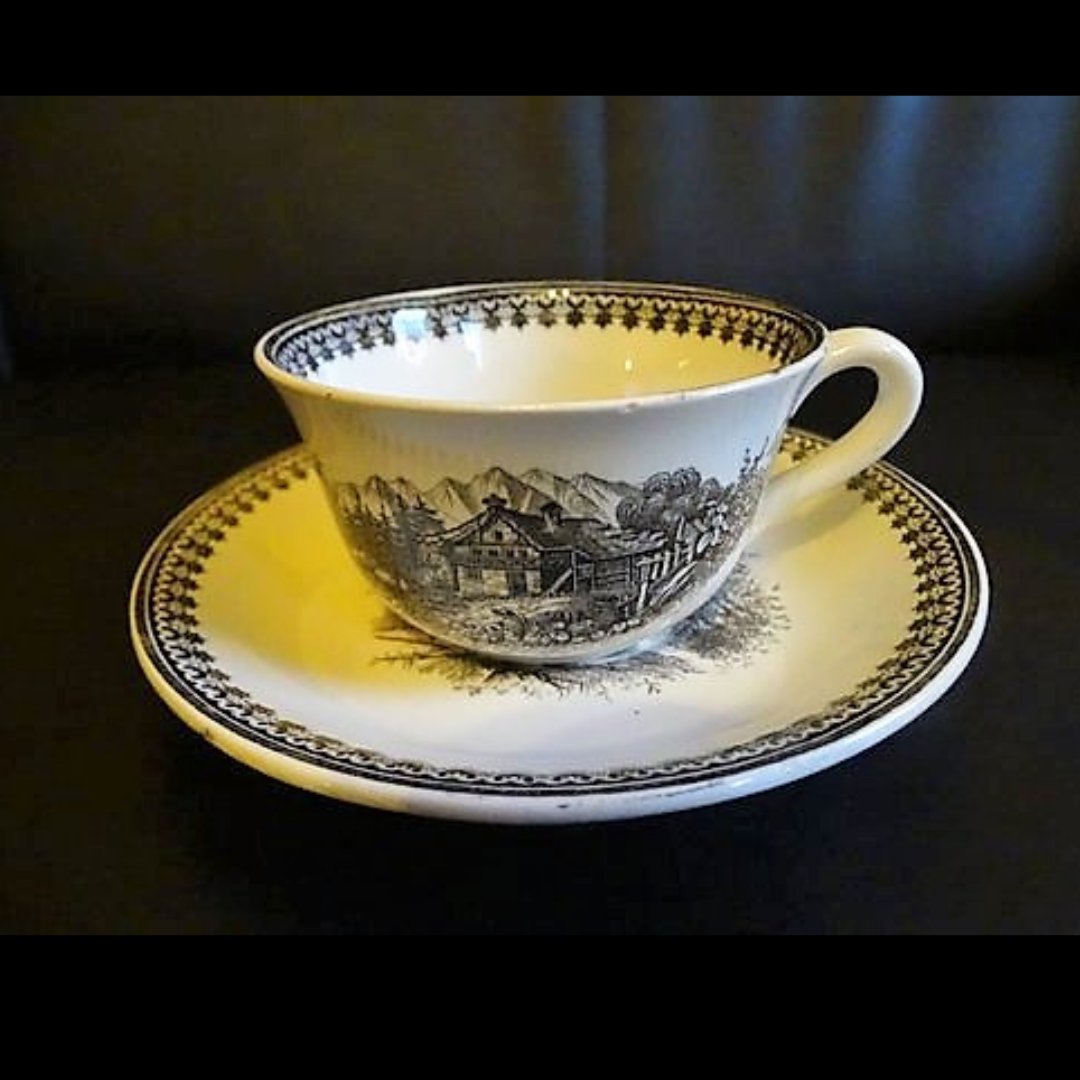 Villeroy & Boch Alpina Saar-Basin Old Abbey: Kaffeetasse / Tasse mit Unterteller