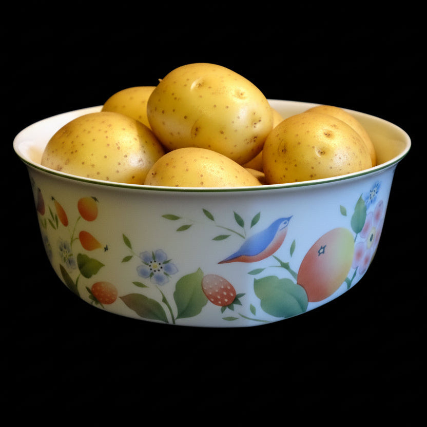 Villeroy & Boch Orangerie: Schüssel / Servierschüssel ca 22,5 cm - neuwertig