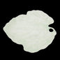 Villeroy & Boch: Blattteller / Teller in Blattform / grünes Blatt Villeroy & Boch (7120976904329)