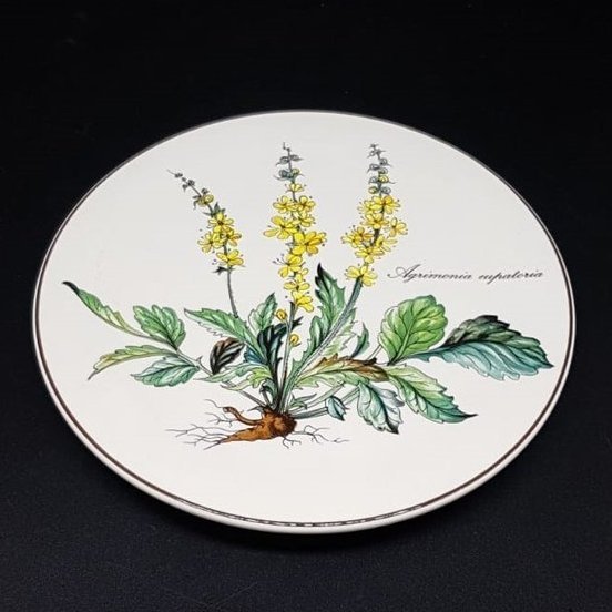 Villeroy & Boch Botanica: Untersetzer, rund, ca 16 cm Villeroy & Boch (7121018028169)