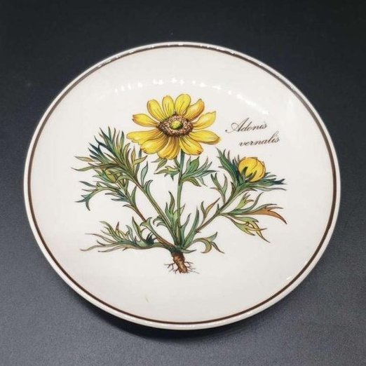 Villeroy & Boch Botanica: Untersetzer rund - Adonis - ca 12 cm Villeroy & Boch (7120854024329)