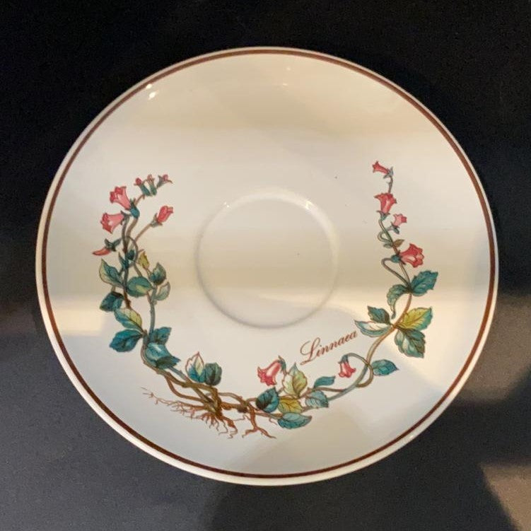 Villeroy & Boch Botanica: Unterteller / Untertasse - Linea - ca 15 cm Villeroy & Boch (7121098113161)