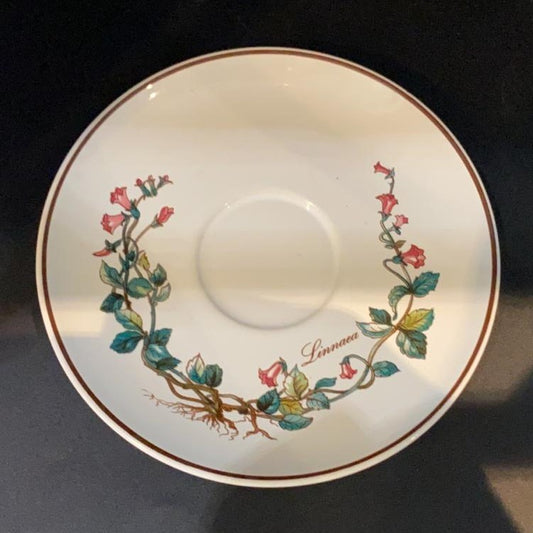 Villeroy & Boch Botanica: Unterteller / Untertasse - Linea - ca 15 cm Villeroy & Boch (7121098113161)