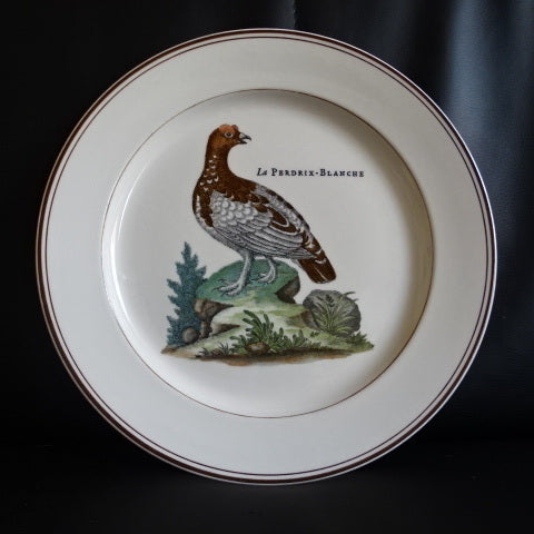 Villeroy & Boch Paradiso: Speiseteller / flacher Teller 26,5 cm Porzellanladen.online (7120829251721)