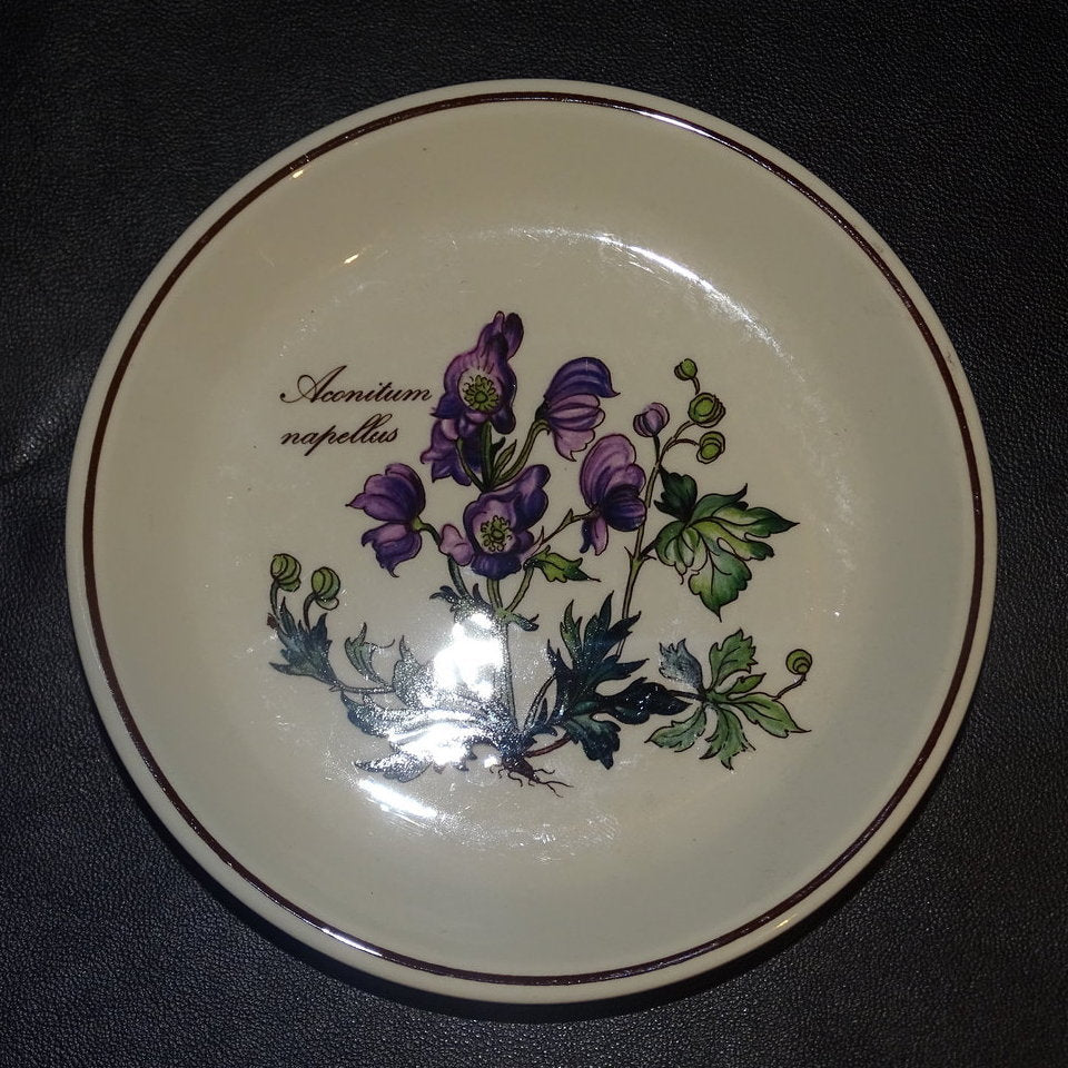 Villeroy & Boch Botanica: Teller Lila Blume Aconitum 14 cm Villeroy & Boch (7120727474313)