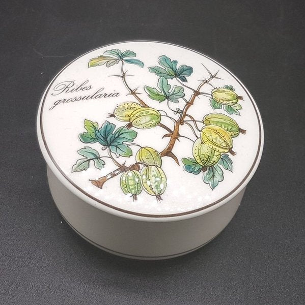 Villeroy & Boch Botanica: Deckeldose 8 cm Ribes Grossularia Villeroy & Boch (7120826630281)