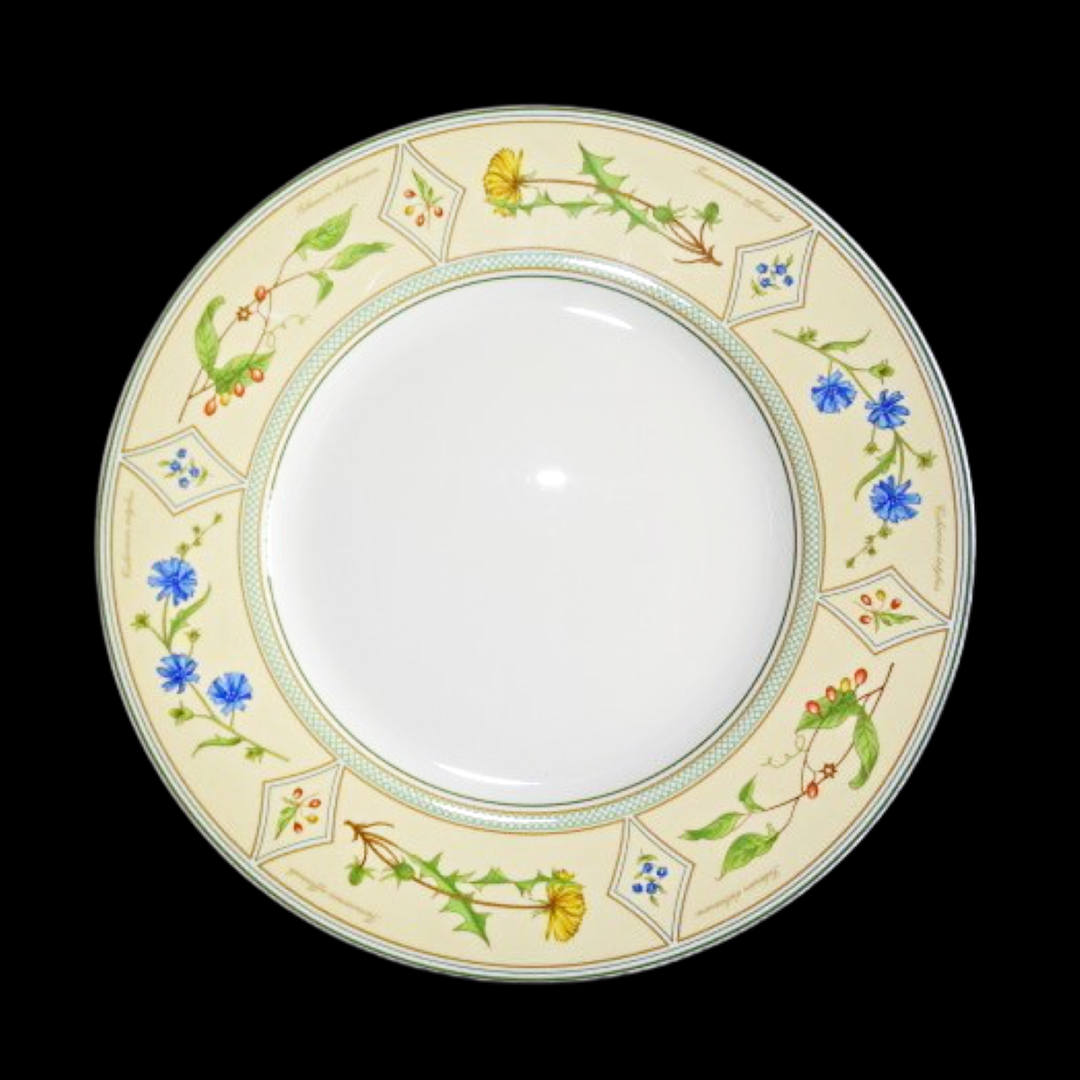 Villeroy & Boch Eden: Speiseteller / flacher Teller 27 cm Villeroy & Boch (7120842096777)