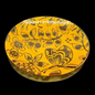 Villeroy & Boch Gallo Switch Plantation Tropical: Glasteller / Kuchenteller Villeroy & Boch (7121021042825)