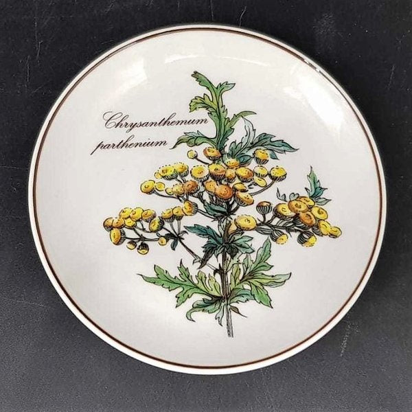 Villeroy & Boch Botanica: Untersetzer rund - Chrysanthemum parthenium - ca 12 cm Villeroy & Boch (7120773283977)