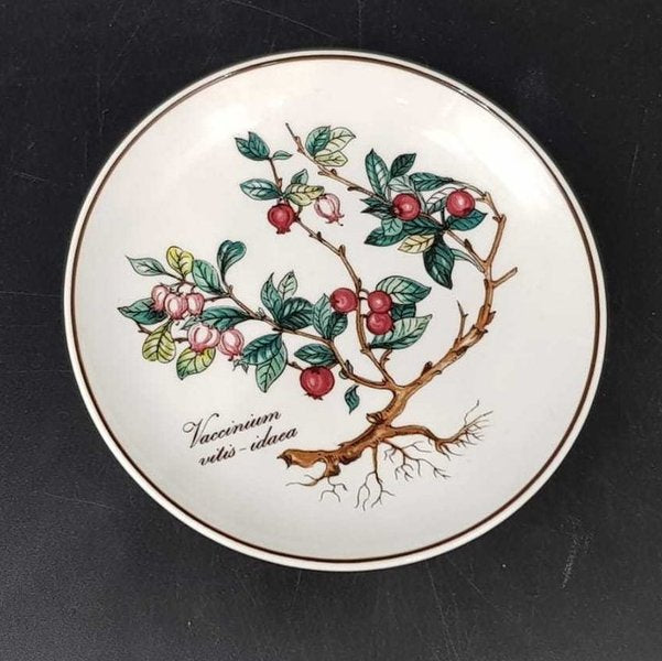 Villeroy & Boch Botanica: Untersetzer rund - Vaccinium vidis-idaea . ca 12 cm Villeroy & Boch (7120773316745)