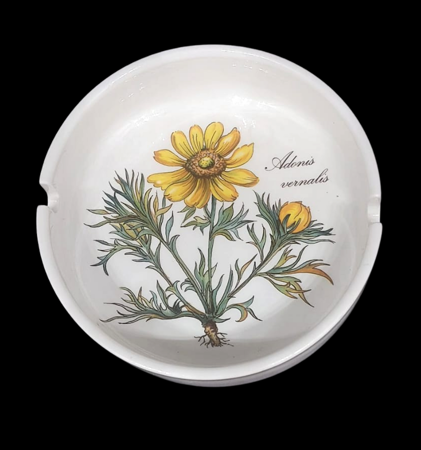 Villeroy & Boch Botanica: Aschenbecher / Ascher Porzellanladen.online (7120788455561)