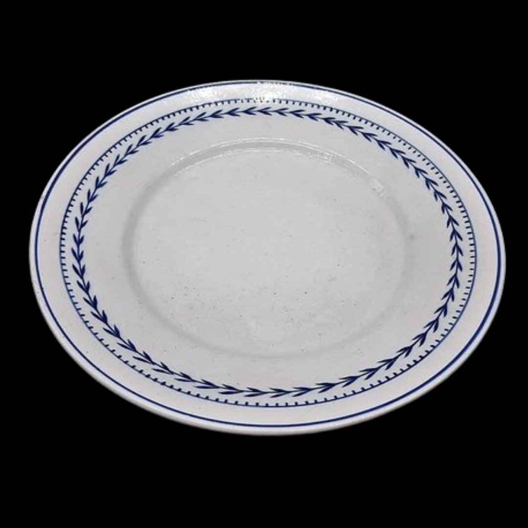 Villeroy & Boch Bonn: Speiseteller / flacher Teller - 24 cm Villeroy & Boch (7120951246985)