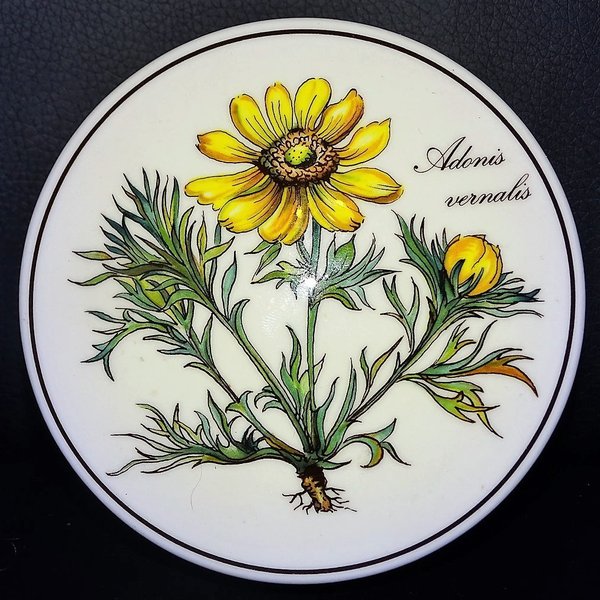 Villeroy & Boch Botanica: Deckeldose 11 cm Adonis vernalis Villeroy & Boch (7120773415049)