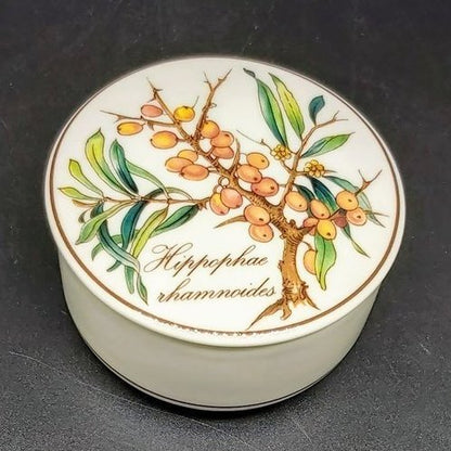 Villeroy & Boch Botanica: Deckeldose 8 cm Hippophae Villeroy & Boch (7120827187337)