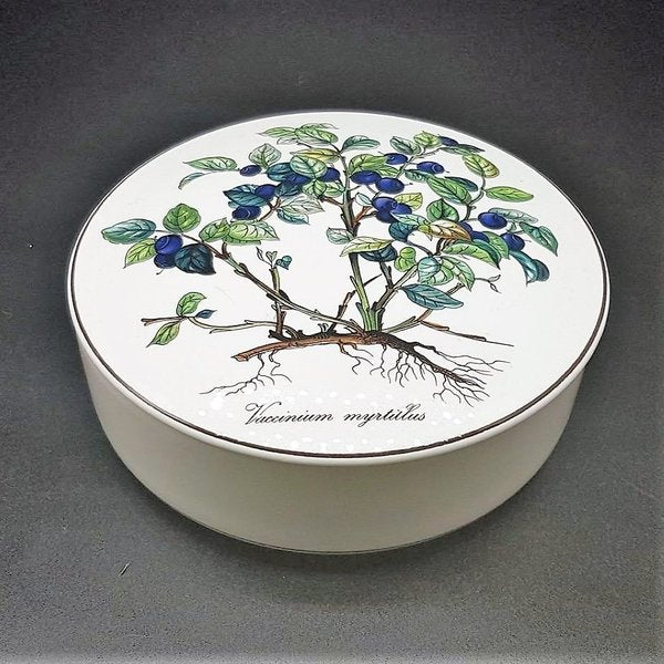 Villeroy & Boch Botanica: Deckeldose 15 cm Vaccinium myrtillus - neu Villeroy & Boch (7120791666825)