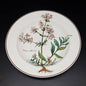 Villeroy & Boch Botanica: Suppenteller / tiefer Teller mit Wurzel - neuwertig Villeroy & Boch (7120839409801)