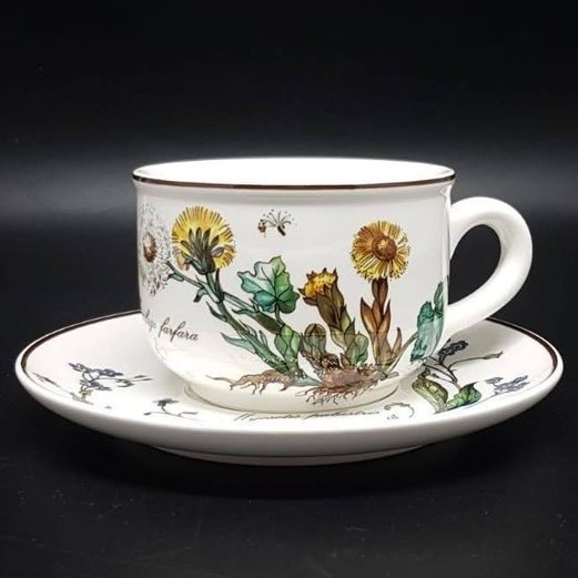 Villeroy & Boch Botanica: Teetasse / Tasse mit Unterteller Villeroy & Boch (7120978083977)