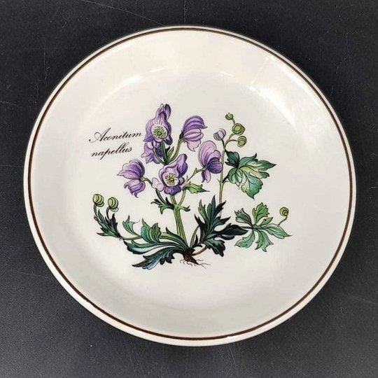 Villeroy & Boch Botanica: Untersetzer rund - Aconitum napellus - ca 12 cm Villeroy & Boch (7120754311305)