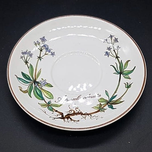 Villeroy & Boch Botanica: Unterteller / Untertasse für Mokkatasse - ca 12 cm - gebraucht Villeroy & Boch (7120977494153)