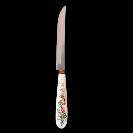 Villeroy & Boch Botanica: Messer / Steakmesser mit Porzellangriff - rot (Besteck) Villeroy & Boch (7121106567305)