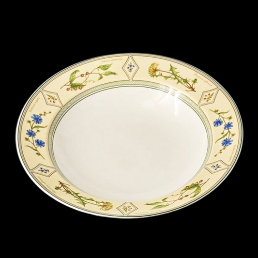 Villeroy & Boch Eden: Pastateller / großer runder Teller - selten Villeroy & Boch (7120842129545)