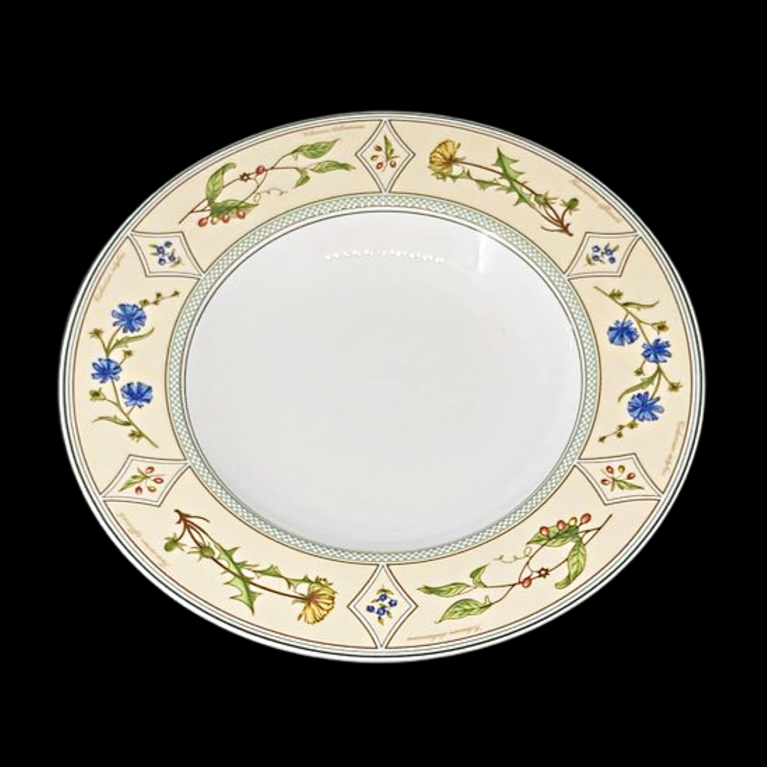 Villeroy & Boch Eden: Suppenteller / tiefer Teller Villeroy & Boch (7120841736329)