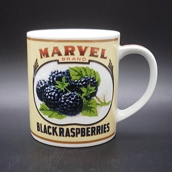 Villeroy & Boch Gallo Marvel: Kaffeebecher / Henkelbecher Blackraspberries Villeroy & Boch (7120976674953)