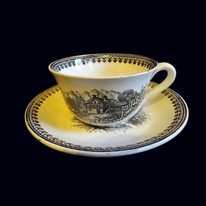 Villeroy & Boch Alpina Saar-Basin Old Abbey: Kaffeetasse / Tasse mit Unterteller Porzellanladen.online (7120707321993)