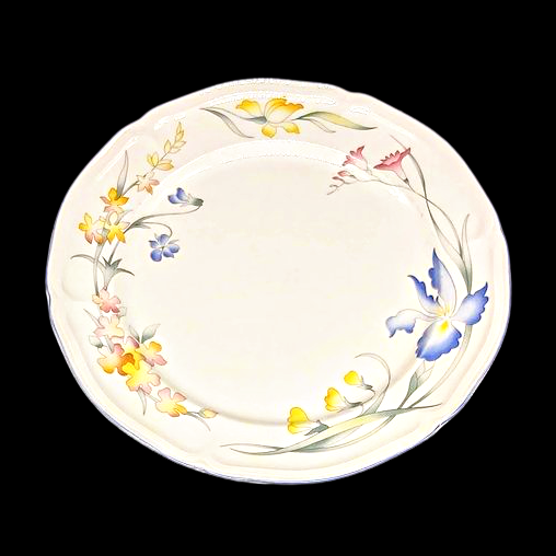 Villeroy & Boch Riviera: Speiseteller / flacher Teller 26,5 cm - sehr gut Villeroy & Boch (7120820732041)